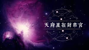 天府星在财帛宫